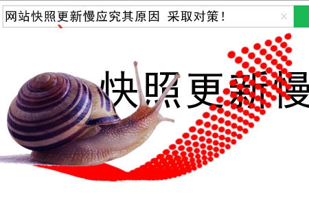 網(wǎng)站快照更新慢應(yīng)究其原因 采取對(duì)策！