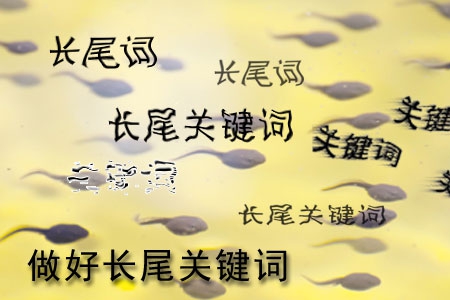 做網(wǎng)站怎樣做好長尾關(guān)鍵詞設(shè)置？