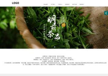 商務(wù)型成品案例站No:1502