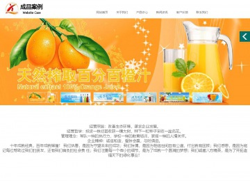 商務型成品案例站No:1502