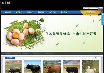 經(jīng)濟(jì)型成品案例站No:4903