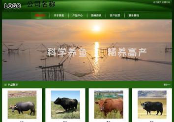 經(jīng)濟(jì)型成品案例站No:4933