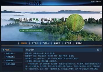 經(jīng)濟型成品案例站No:4946