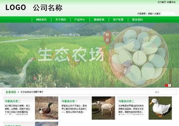 商務(wù)型成品案例站No:4952