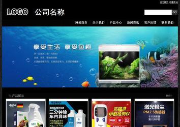 經(jīng)濟型成品案例站No:4953