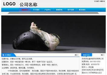 經(jīng)濟(jì)型成品案例站No:4984