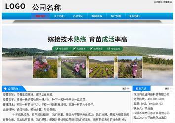 經(jīng)濟型成品案例站No:4984