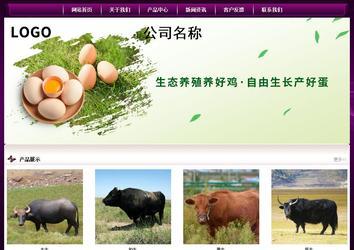 經(jīng)濟型成品案例站No:5001