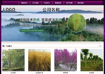 經(jīng)濟(jì)型成品案例站No:5001