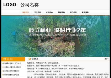 經(jīng)濟(jì)型成品案例站No:5049