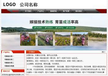 經(jīng)濟(jì)型成品案例No:7202