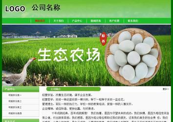 經(jīng)濟(jì)型成品案例No:7375