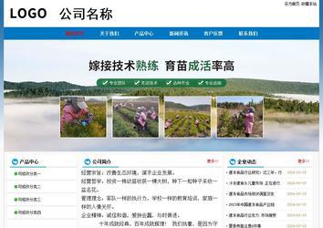 經(jīng)濟型成品案例No:7531