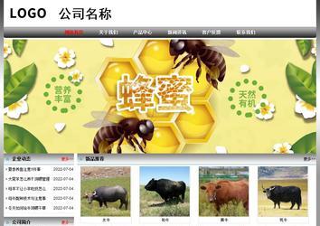 經(jīng)濟(jì)型成品案例No:7568