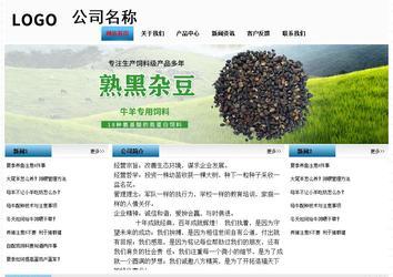 經(jīng)濟(jì)型成品案例站No:7923