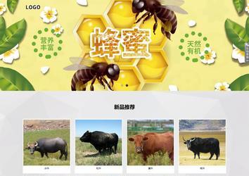 響應式成品案例站No:800