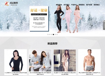 響應式成品案例站No:800