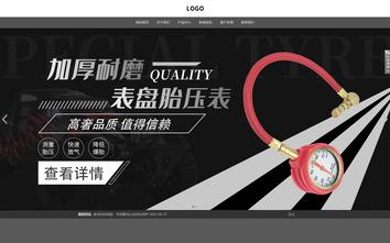 響應(yīng)式成品案例站No:803