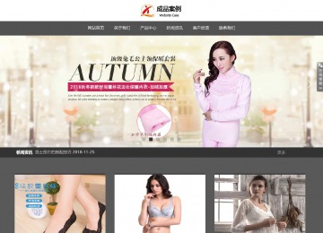 響應式成品案例站No:803