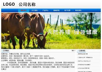 經(jīng)濟(jì)型成品案例No:8045