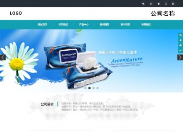 響應(yīng)式成品案例站No:805