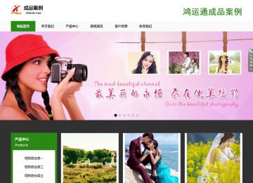 響應(yīng)式成品案例站No:806