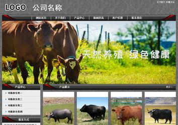 經(jīng)濟(jì)型成品案例站No:8060