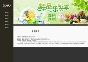 響應(yīng)式成品案例站No:807