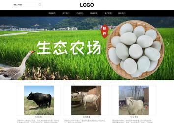 響應(yīng)式成品案例站No:816