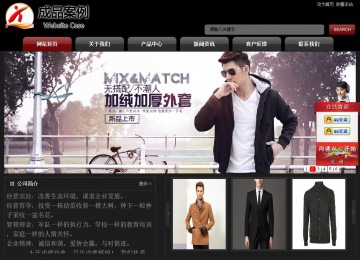 經(jīng)濟(jì)型成品案例No:8160