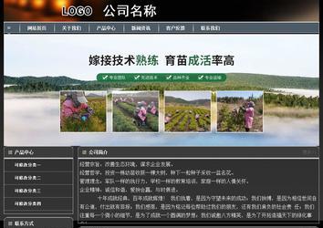 經(jīng)濟(jì)型成品案例站No:8207