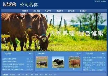 經(jīng)濟(jì)型成品案例站No:8245