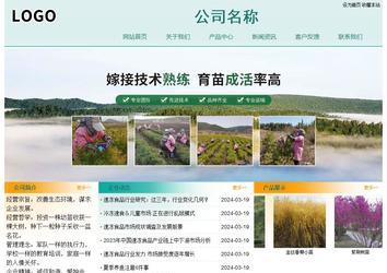 經(jīng)濟(jì)型成品案例站No:8247