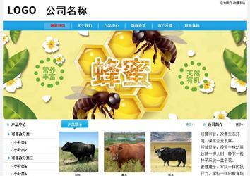 經(jīng)濟(jì)型成品案例站No:8249