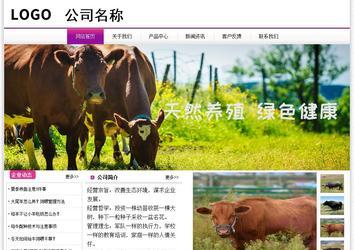 經(jīng)濟(jì)型成品案例站No:8259