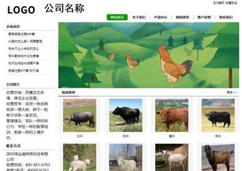 經(jīng)濟(jì)型成品案例站No:8260