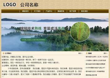 經(jīng)濟(jì)型成品案例No:8261