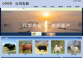 商務(wù)型成品案例站No:8270