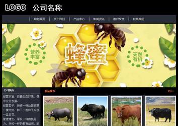 經(jīng)濟(jì)型成品案例站No:8292