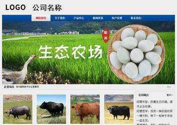 經(jīng)濟型成品案例站No:8344