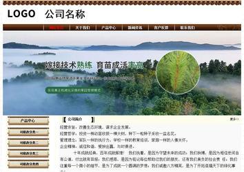 經(jīng)濟(jì)型成品案例No:8355