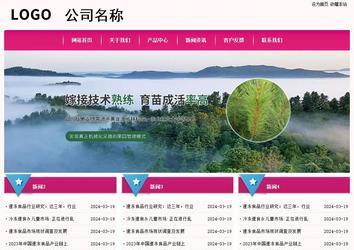 經(jīng)濟(jì)型成品案例No:8357