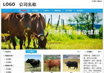 經(jīng)濟型成品案例No:8369