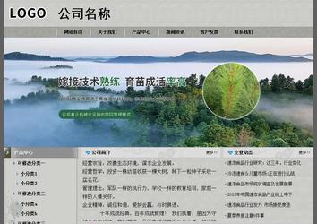 經(jīng)濟型成品案例站No:8370