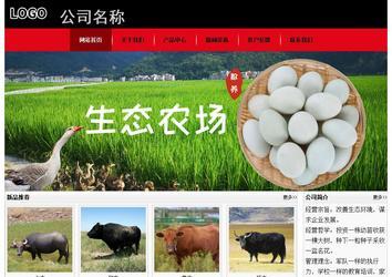 經(jīng)濟(jì)型成品案例No:8372