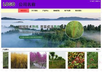 經(jīng)濟(jì)型成品案例站No:8383