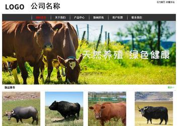 經(jīng)濟(jì)型成品案例站No:8389