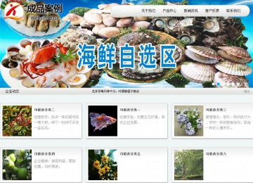 商務(wù)型成品案例站No:8409