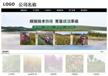 經(jīng)濟型成品案例No:8434