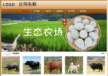 經(jīng)濟型成品案例No:8521